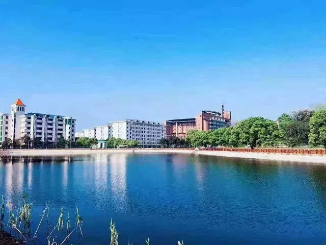 mmexport1506432531083.jpg