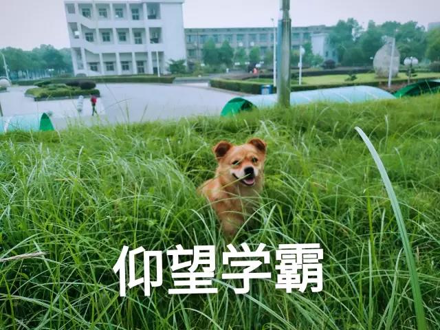 微信图片_20190423181034.jpg