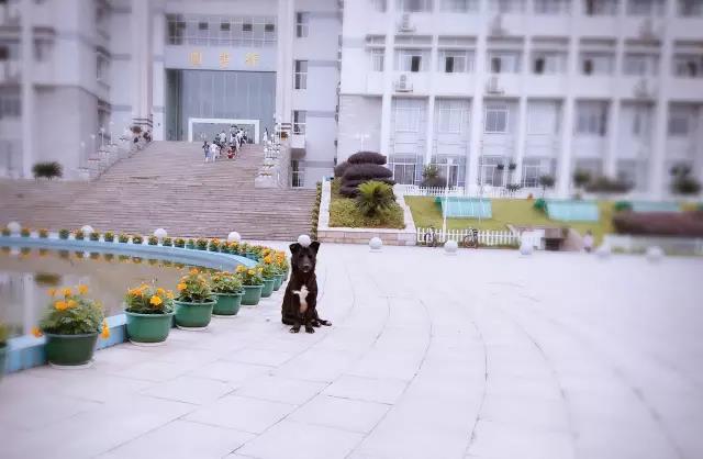 微信图片_20190423180845.jpg